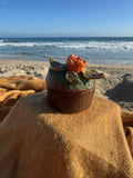 Wild Rose Fairy Jar